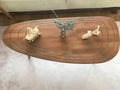 Oval shape Coffee table