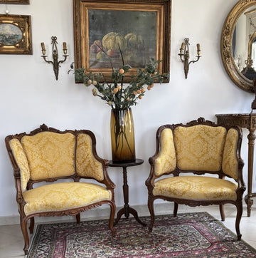 Elegant French Style Coffee Sofa Set